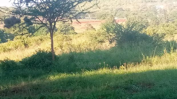 Prime Land for Sale. Karuku, Embu Nairobi Hishway. Touching Highway - thumbnail 3