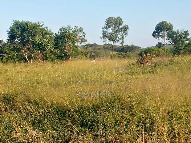 Prime Land for Sale. Karuku, Embu Nairobi Hishway. Touching Highway - thumbnail 4