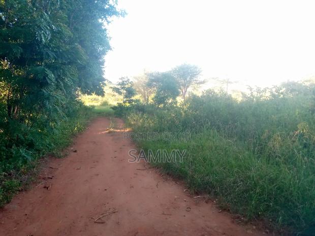 Prime Land for Sale. Karuku, Embu Nairobi Hishway. Touching Highway - thumbnail 5
