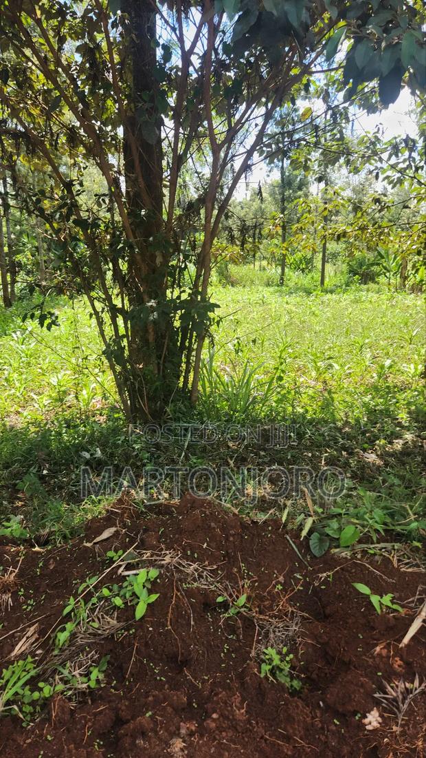 2 Acres in Gatundu South - main view