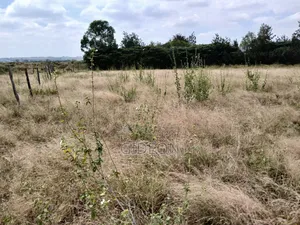 1 Acre Prime Land - Kitengela