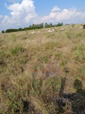 1 Acre Prime Land - Kitengela