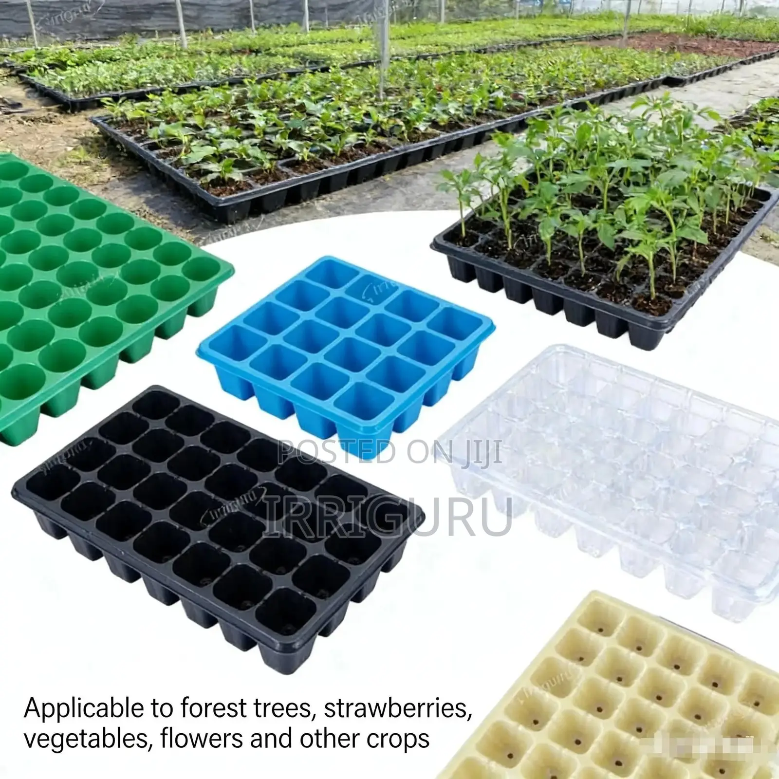 Aesthetic Seedling Tray, Keeps Your Growing Process Neat And Tidy