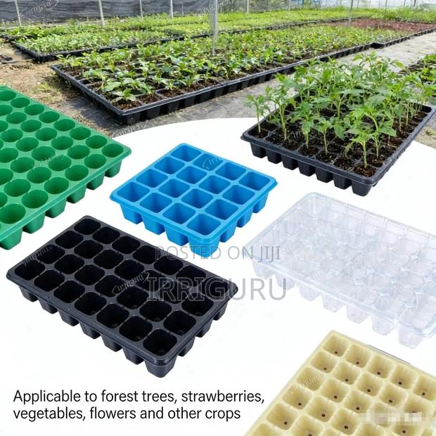 Aesthetic Seedling Tray, Keeps Your Growing Process Neat And Tidy