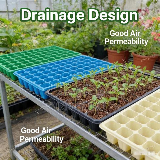 Aesthetic Seedling Tray, Keeps Your Growing Process Neat And Tidy - main view
