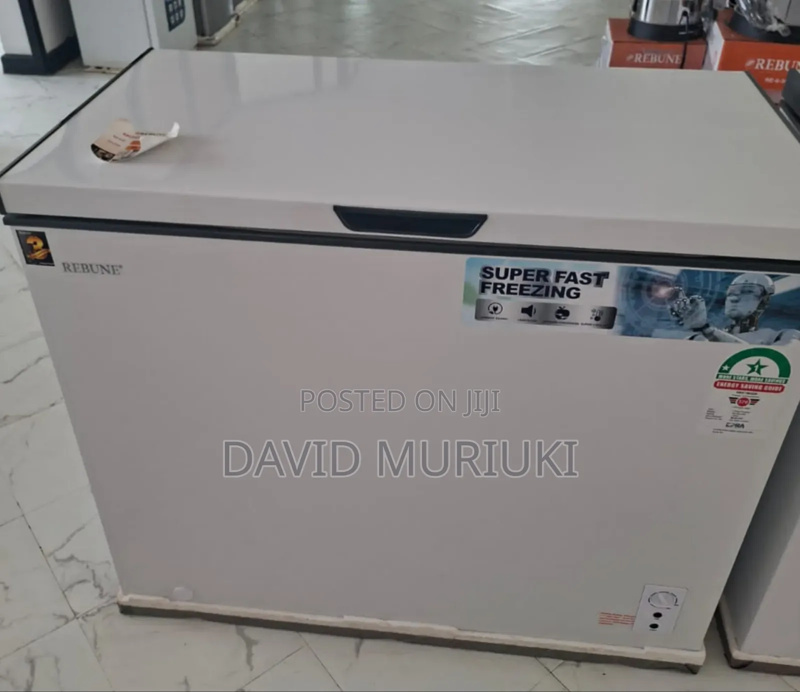 The Rebune 250 Litres Deep Freezers