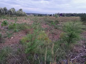 Land for Sale in Njoro Belbur