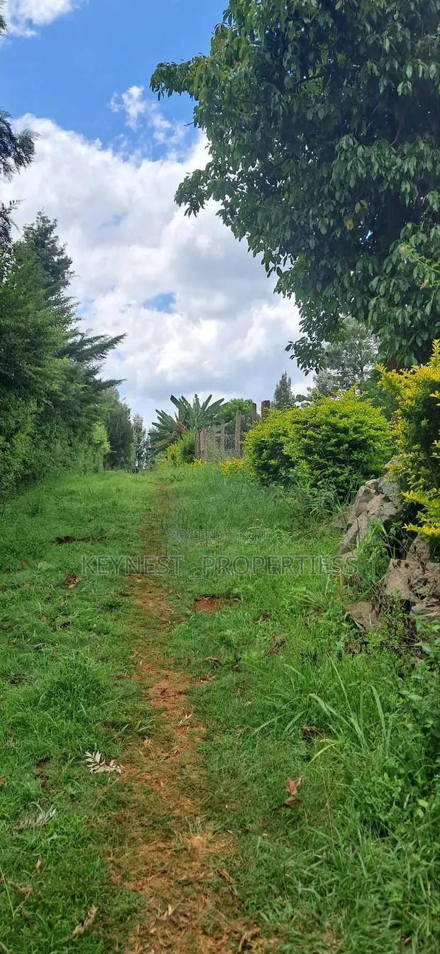 Land for Sale - thumbnail 12