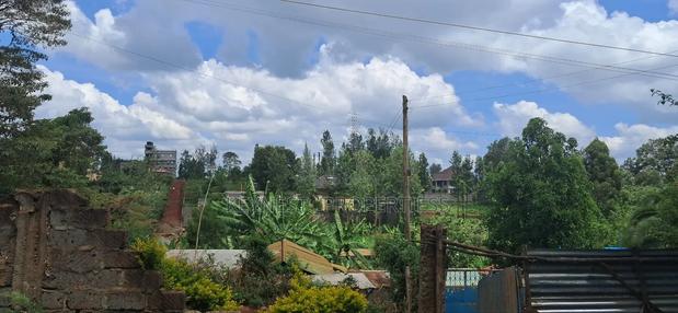Land for Sale - thumbnail 13