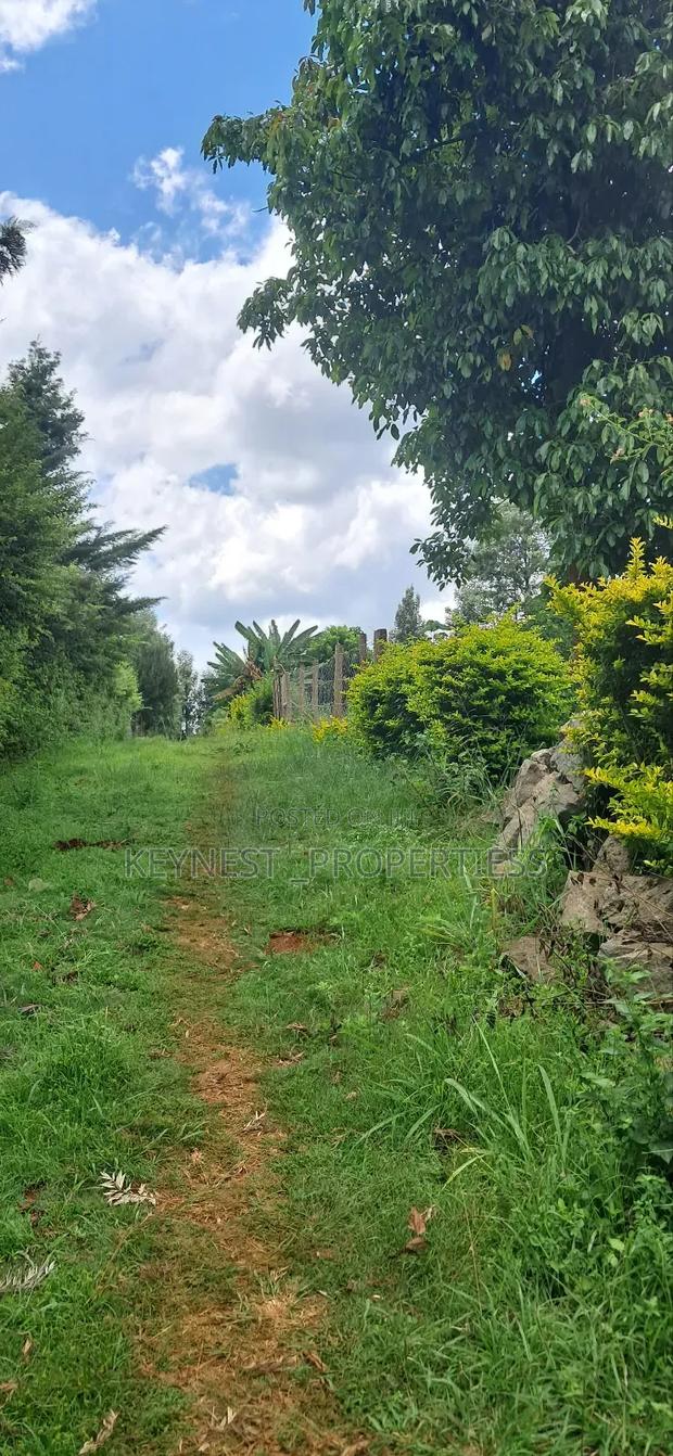 Land for Sale - thumbnail 14