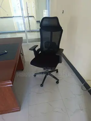 Premium Ergonomic Chair With Lumbar Support
