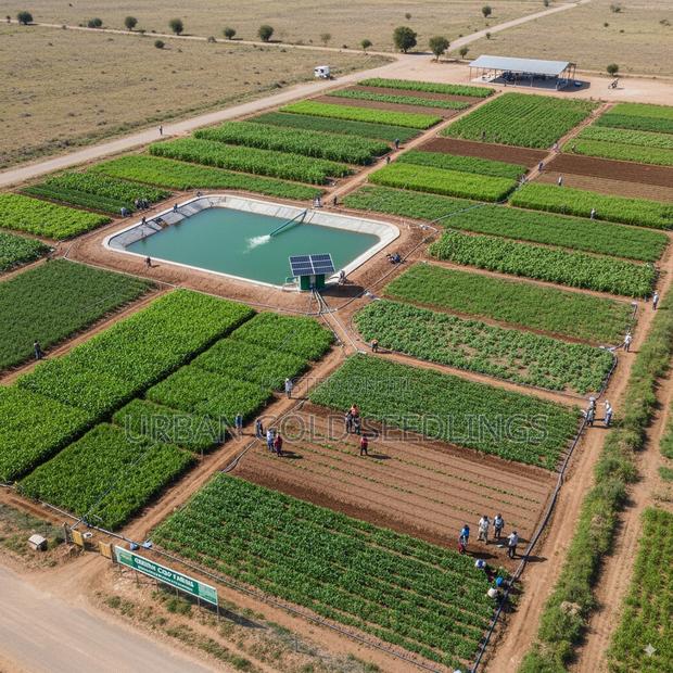 Become Founding Partner - main view