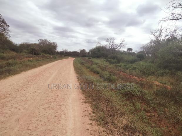 Become Founding Partner - thumbnail 4