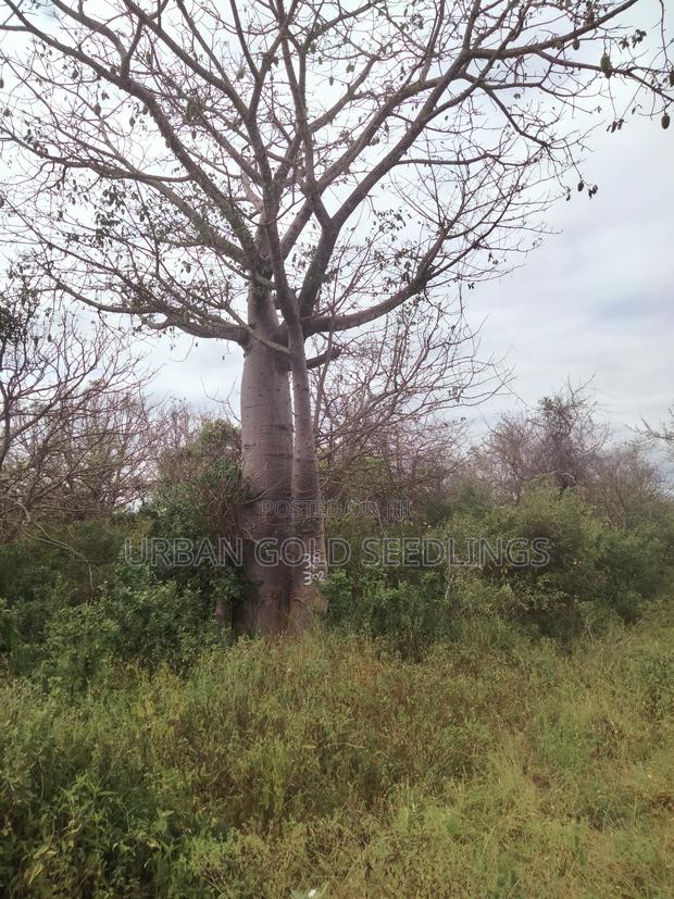 Become Founding Partner - thumbnail 5