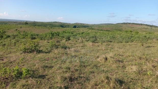 Land and Plot for Sell - thumbnail 2