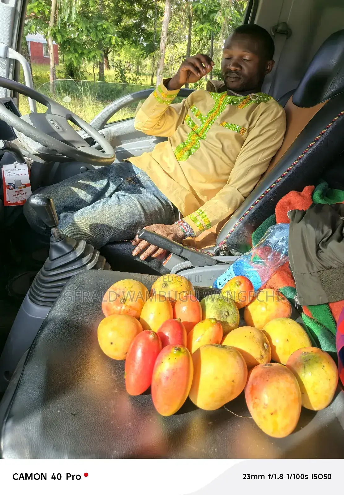 Driver's Job