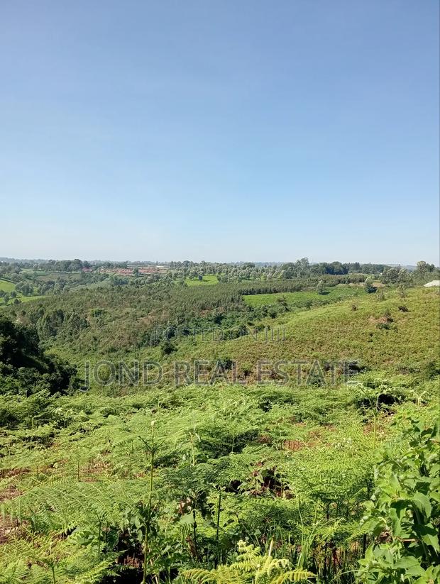 2 Acres for Sale in Tigoni - thumbnail 3