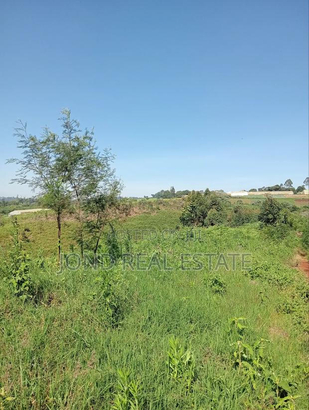 2 Acres for Sale in Tigoni - thumbnail 4