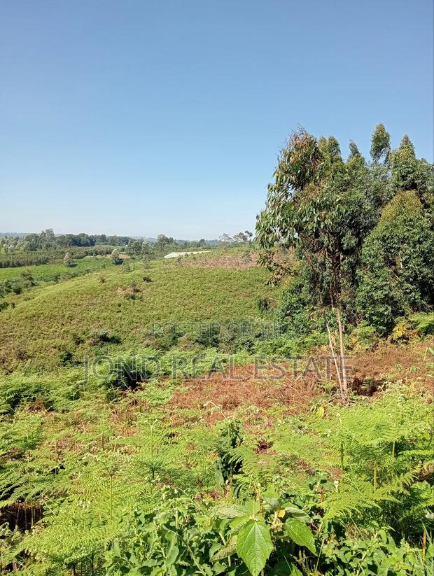 2 Acres for Sale in Tigoni - thumbnail 5