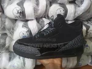 Jordan3 J3