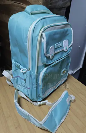 Quality Children School Bag With Spine / Back Protection (Orthopedic)