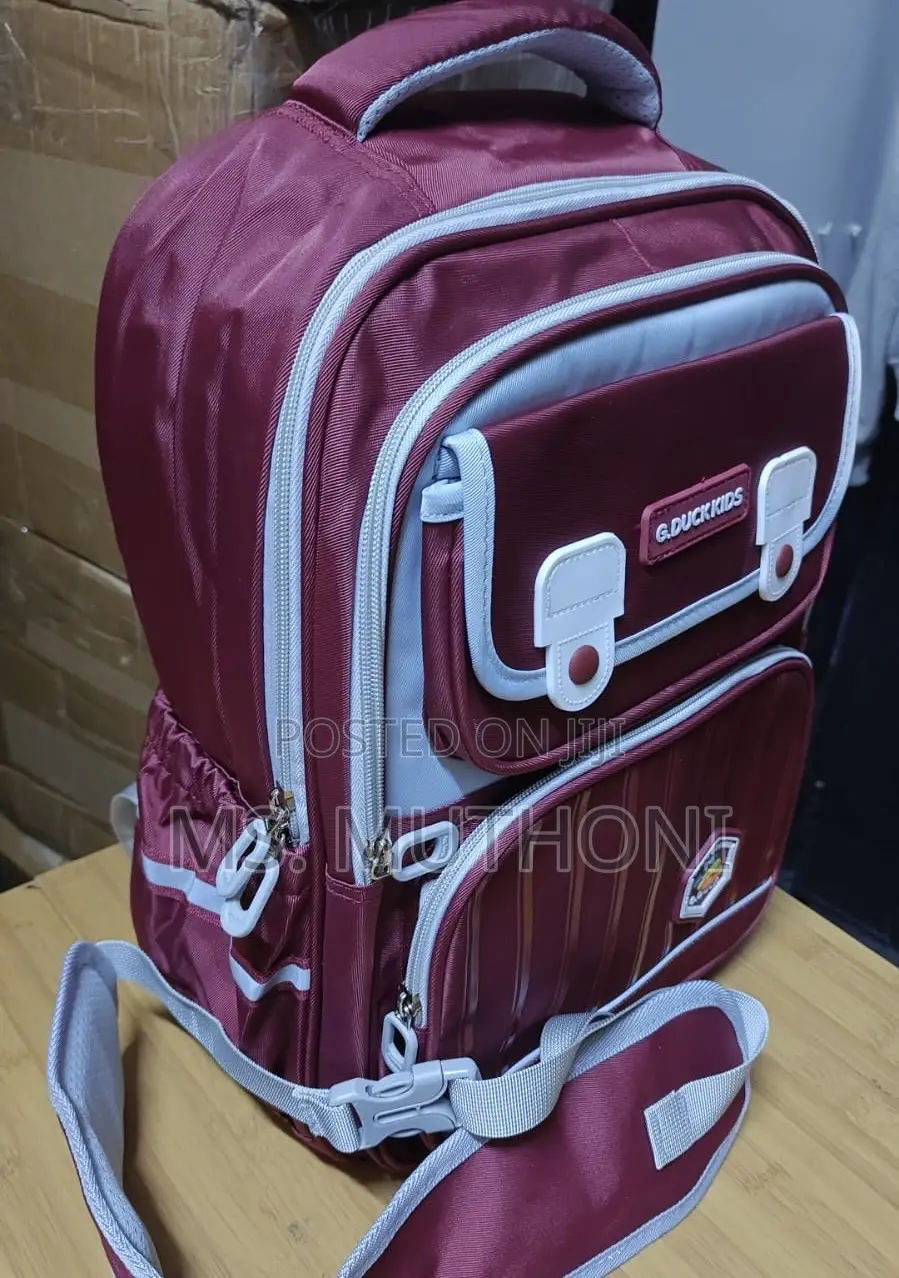 Quality Children School Bag With Spine / Back Protection (Orthopedic)