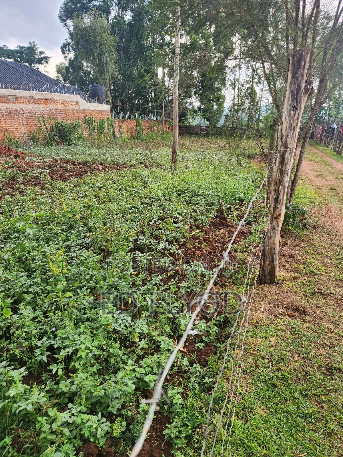 Commercial Plot for Sale