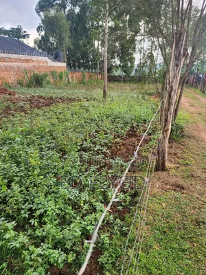 Commercial Plot for Sale