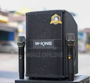 180w W-King K20s Bluetooth Karaoke Speaker With 2 Wireless Mics