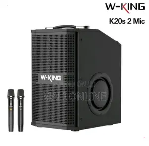 180w W-King K20s Bluetooth Karaoke Speaker With 2 Wireless Mics