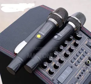 180w W-King K20s Bluetooth Karaoke Speaker With 2 Wireless Mics