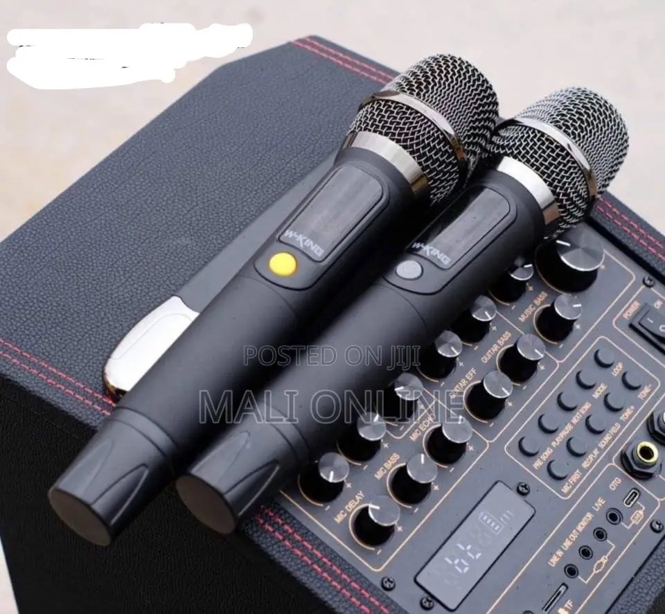 180w W-King K20s Bluetooth Karaoke Speaker With 2 Wireless Mics