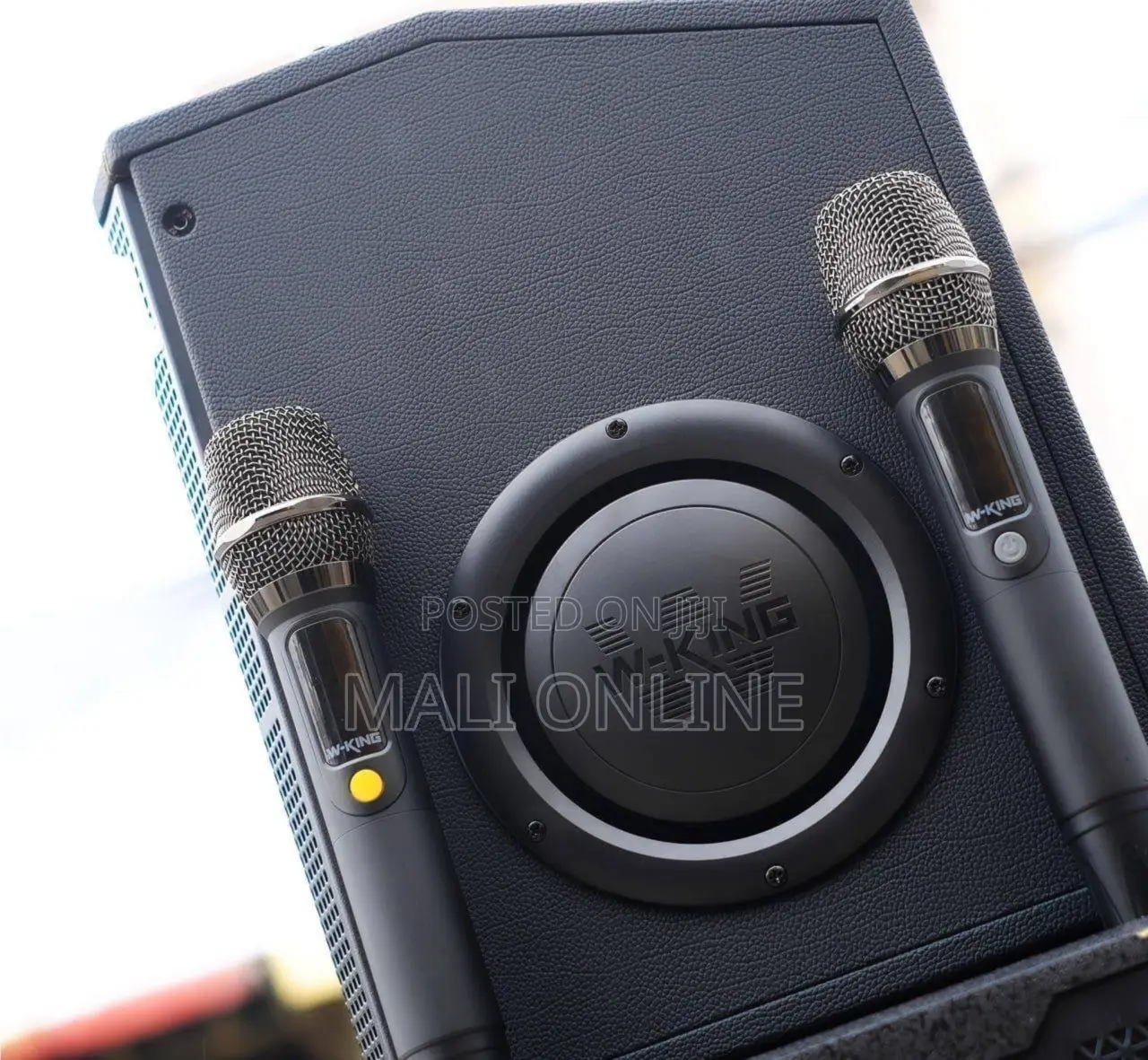 180w W-King K20s Bluetooth Karaoke Speaker With 2 Wireless Mics