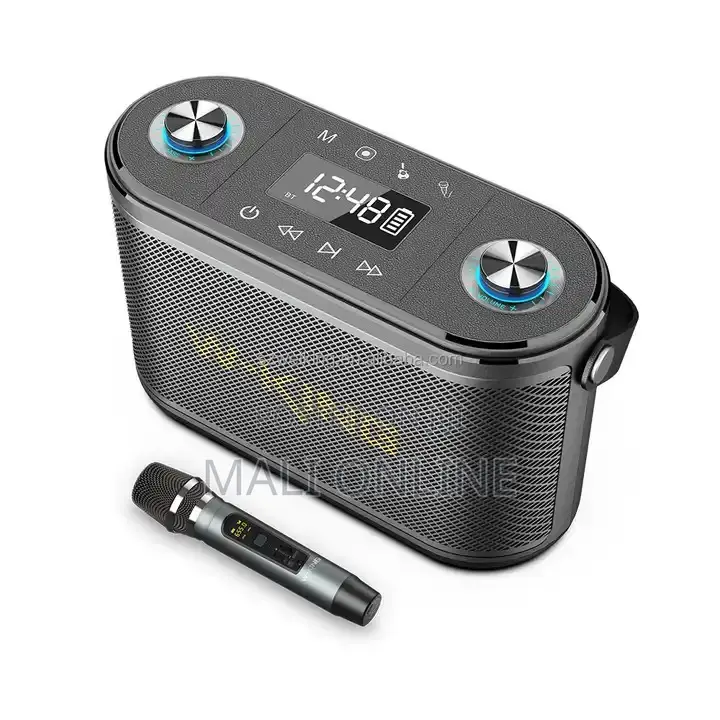 80w Bluetooth Speaker Portable Karaoke Sound System With Wireless Mic