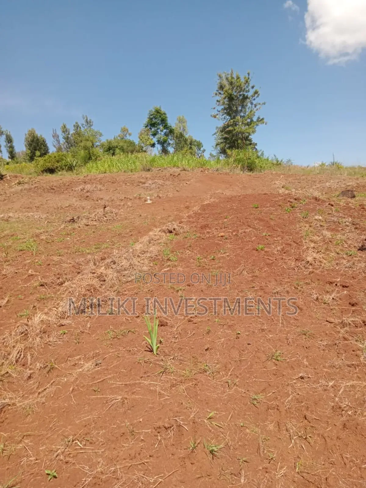 40 by 80 Plots for Sale at Kenol Kagaa