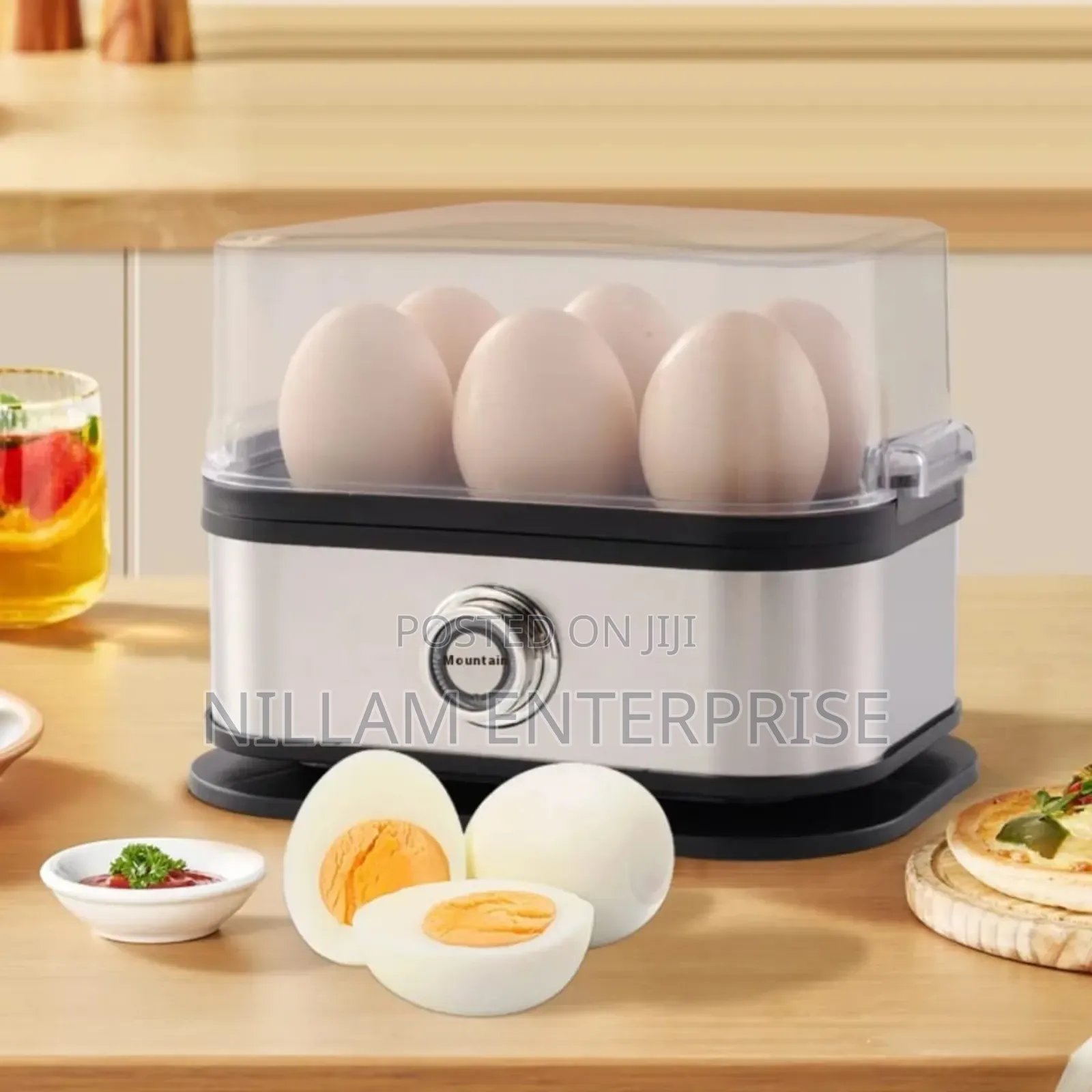 Electric Egg Boiler*