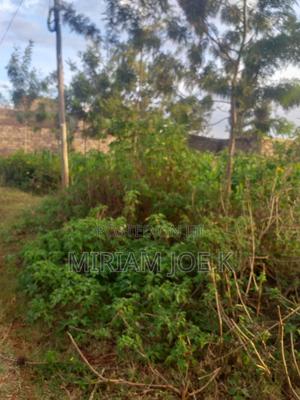 Kenyatta Road - thumbnail 2