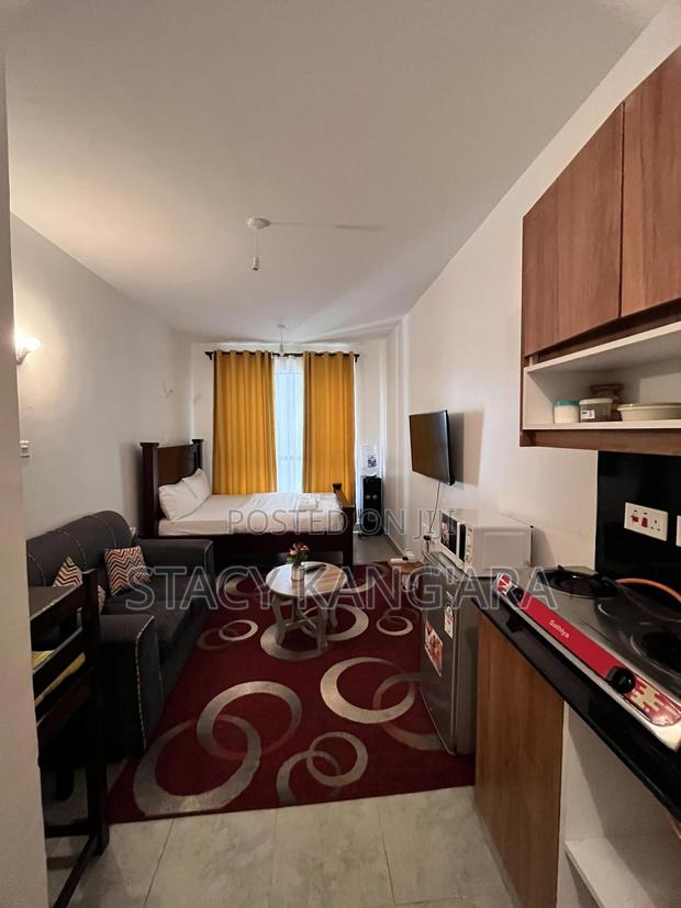 Studio Apartment in Tsavo Apartments - thumbnail 3