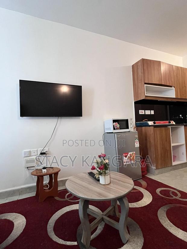 Studio Apartment in Tsavo Apartments - thumbnail 4