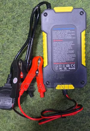 Intelligent Battery Charger/12v Intelligent Pulse Repair Charger