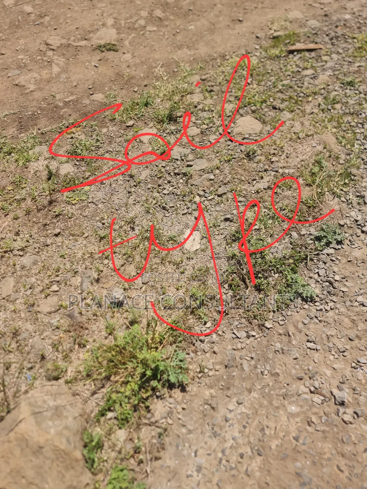 1⁄8 Acre Commercial Corner Plot on Bybass at Kamakis