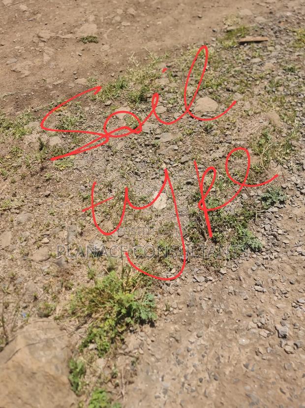 1⁄8 Acre Commercial Corner Plot on Bybass at Kamakis - thumbnail 7