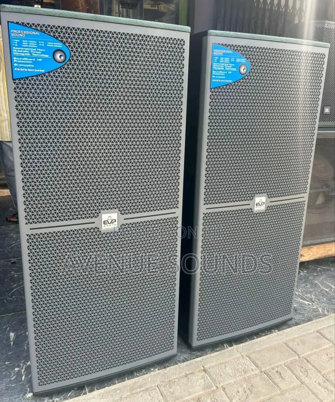Evp Professional Fullrange Speaker