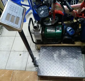Big Base 300kg Weighing Scale/300kgs Big Base Weighing Scale