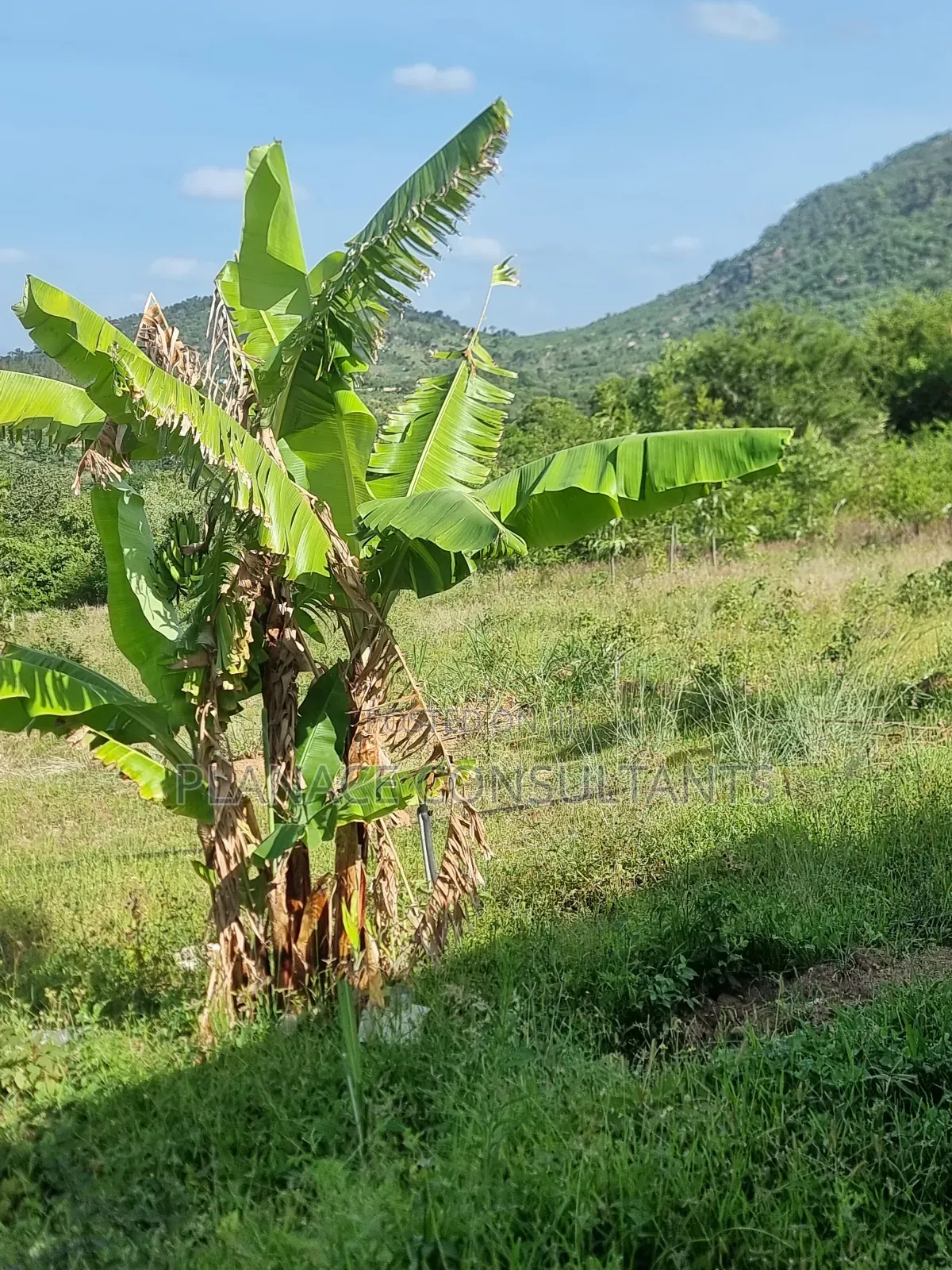 23 Acres Agricultural Land