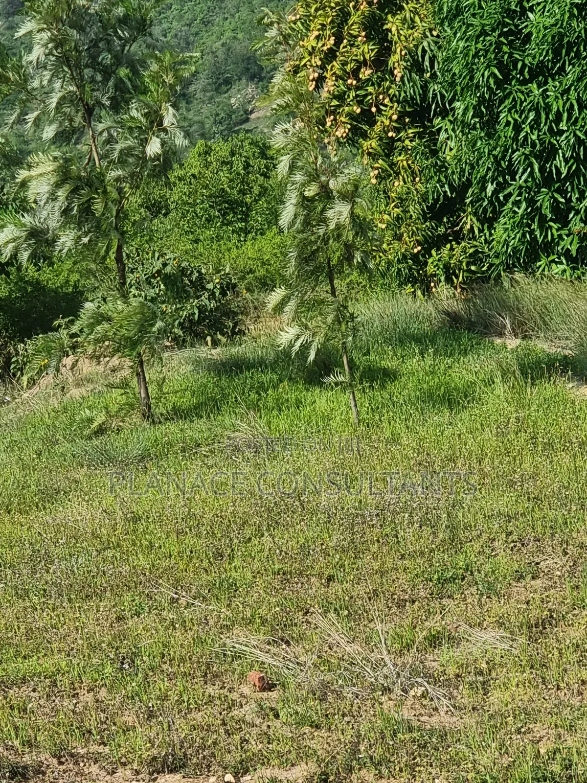 23 Acres Agricultural Land