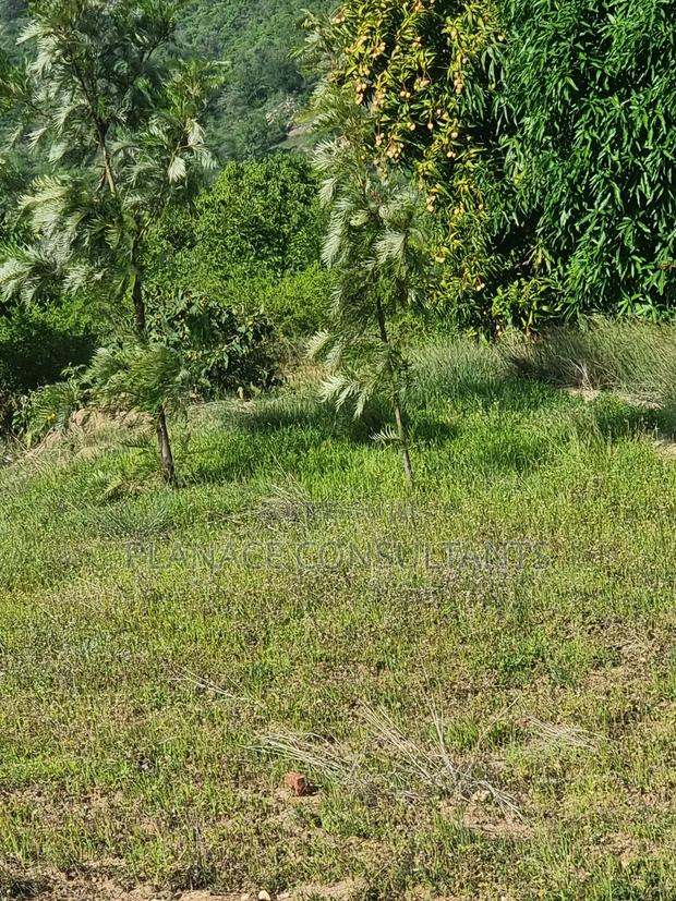 23 Acres Agricultural Land - thumbnail 6