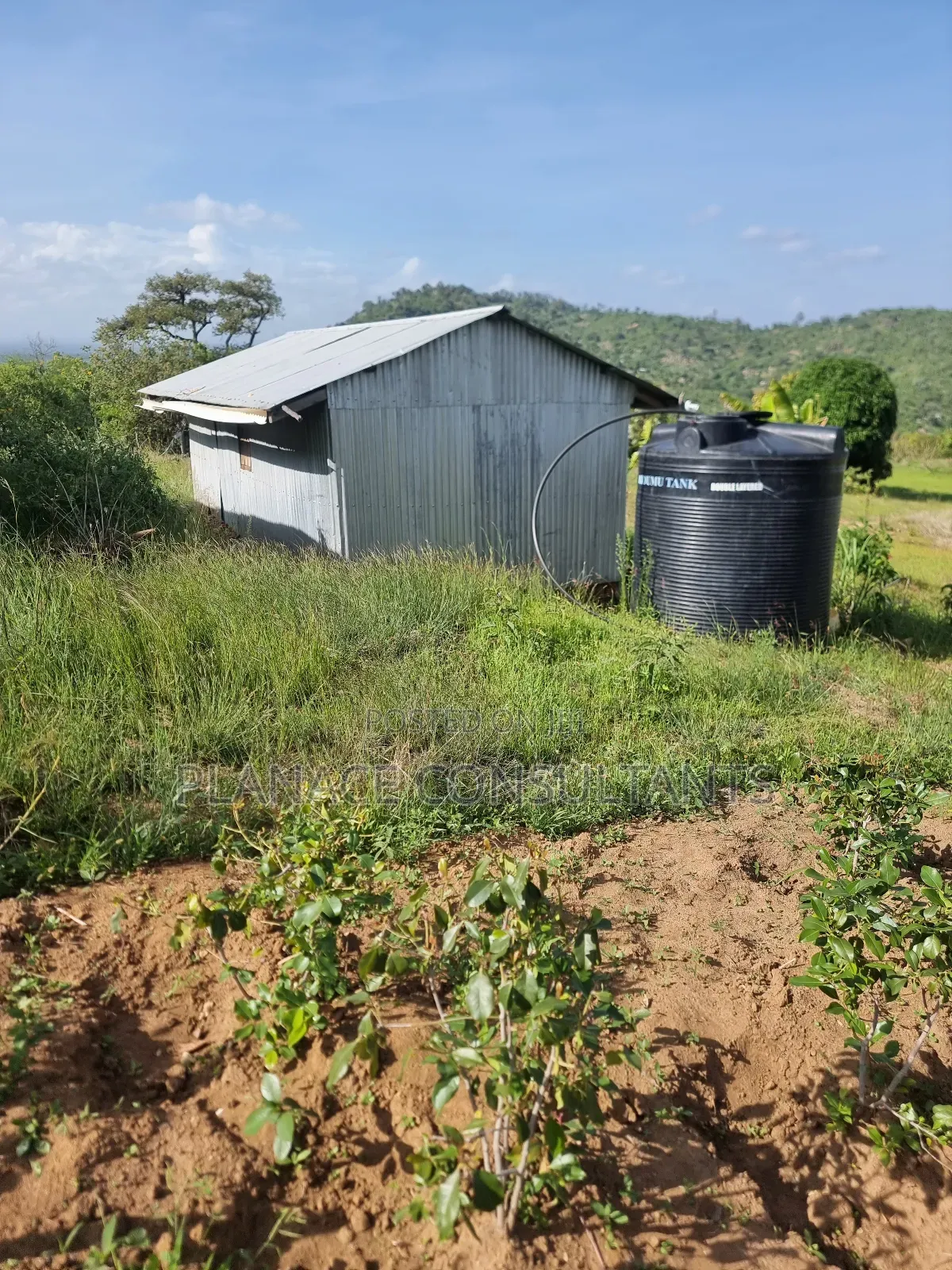 23 Acres Agricultural Land