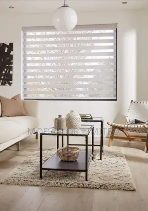 Modern Zebra Blinds for Office Home