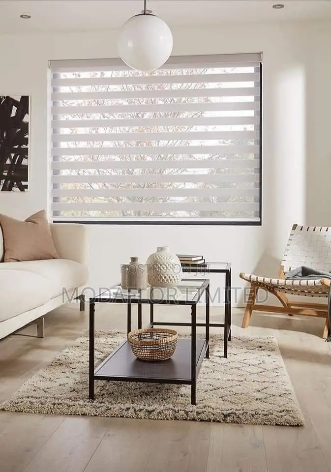 Modern Zebra Blinds for Office Home